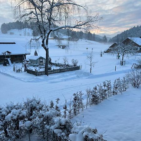 Ferienwohnungen Roessle Stiefenhofen Buitenkant foto